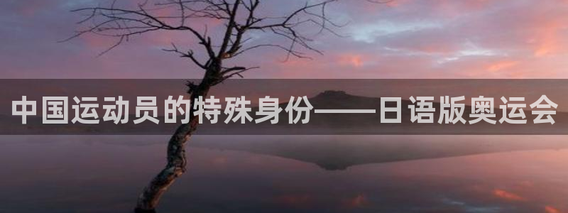 3377体育官网入口网页版
