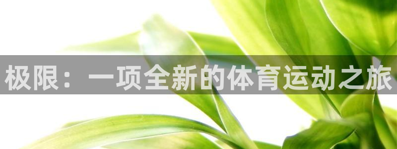 3377体育在线