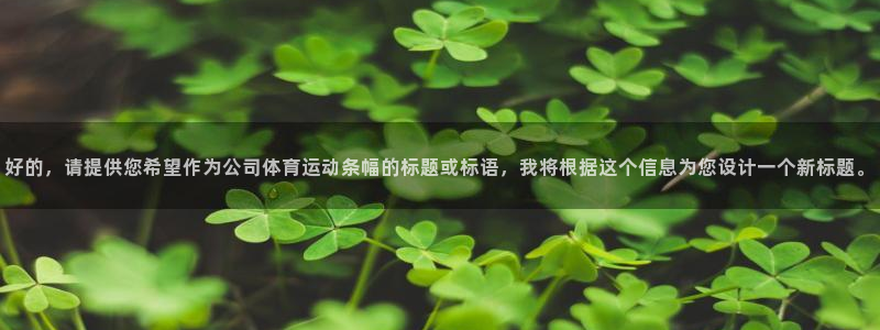 3377体育(中国)官方网站：好的，请提供您希望作为公司体育运动条幅的标题或标语，我将根据这个信息为您设计一个新标题。