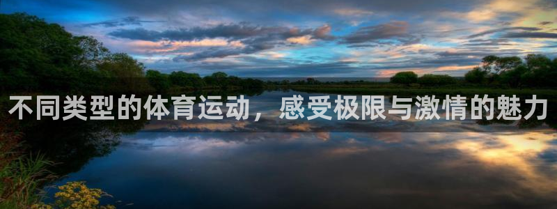 3377体育在线