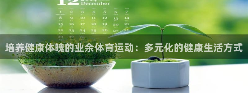 3377体育是正规的吗
