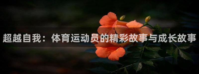 3377体育app下载安装
