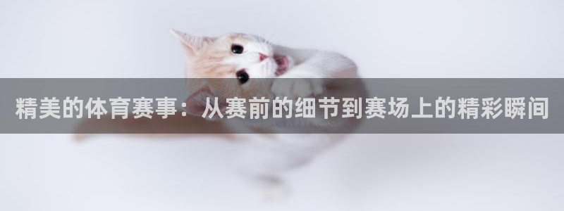 3377体育是正规平台吗：精美的体育赛事：从赛前的细节到赛场上的精彩瞬间