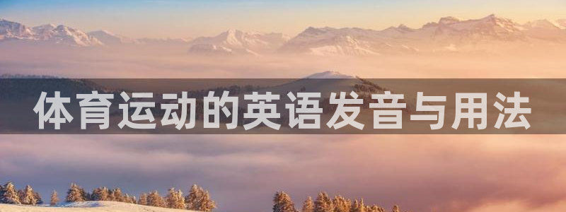 3377体育app下载安装