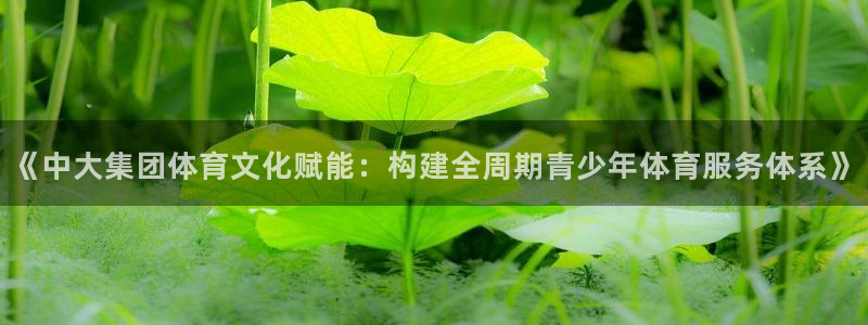 3377体育中国官方网站入口：《中大集团体育文化赋能：构建全周期青少年体育服务体系》