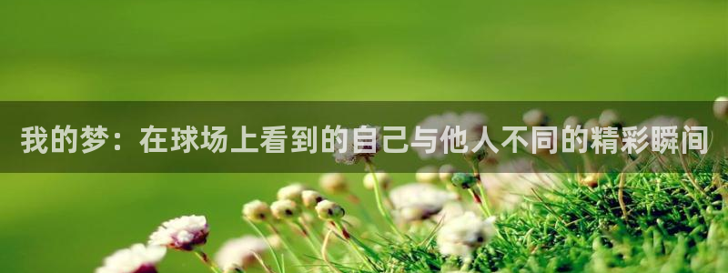 3377体育官方app下载：我的梦：在球场上看到的自己与他人不同的精彩瞬间